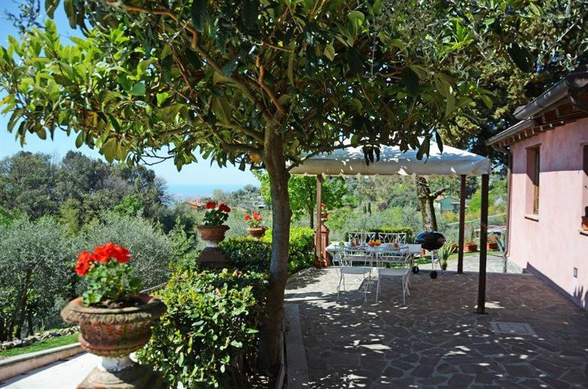 Le Donne Di Bargecchia Villa Corsanico-Bargecchia Kültér fotó