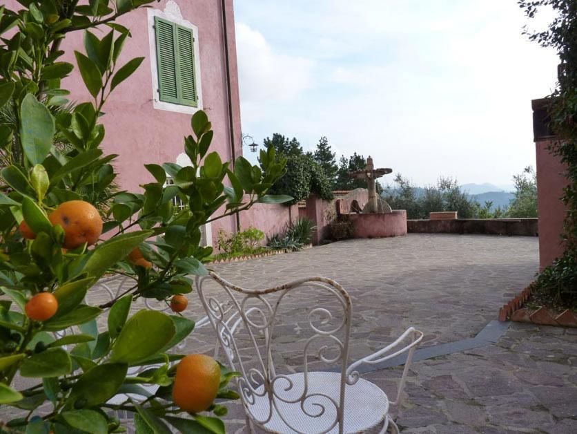 Le Donne Di Bargecchia Villa Corsanico-Bargecchia Kültér fotó